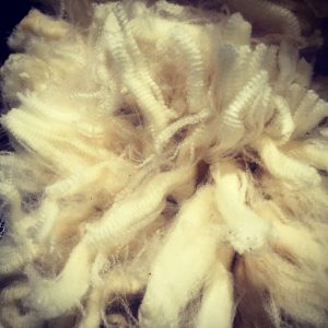 Raw Fleece